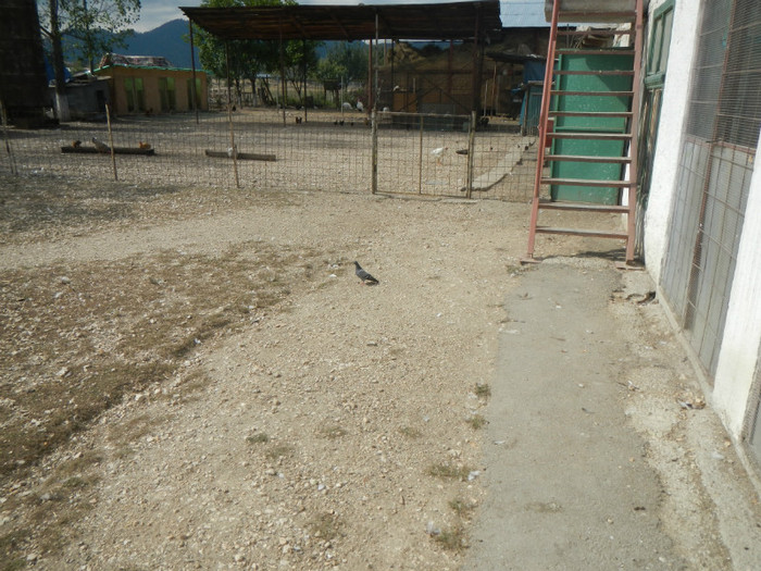 DSCN8117 - Vrapciu 1