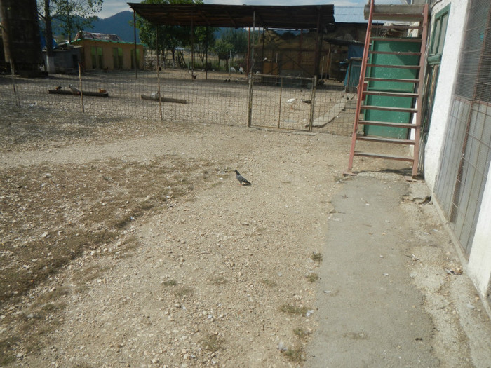 DSCN8118 - Vrapciu 1