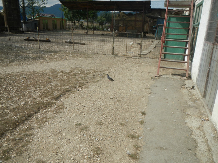 DSCN8119 - Vrapciu 1