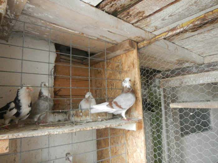 DSCN8129 - Vrapciu 2