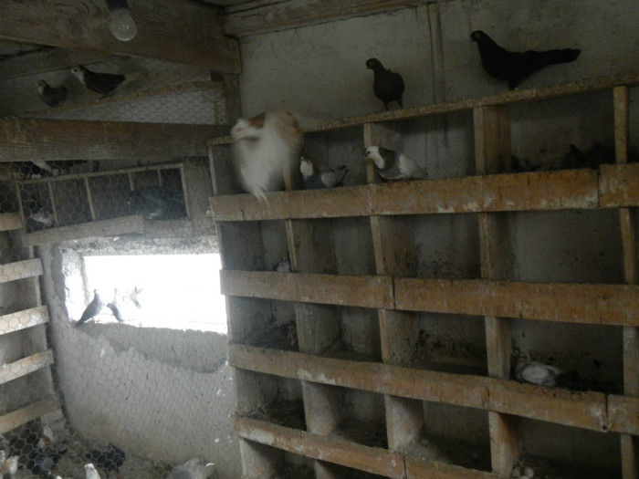 DSCN8133 - Vrapciu 2