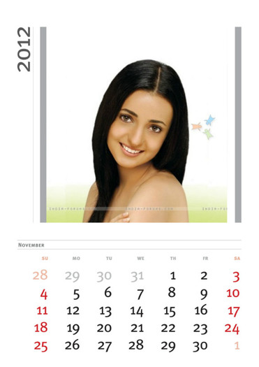 noiembrie - Calendar 2012 Barun si Sanaya