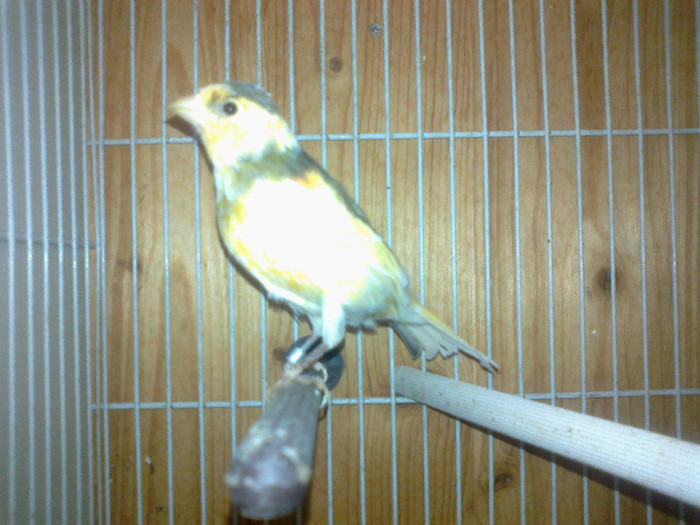 25092012239
