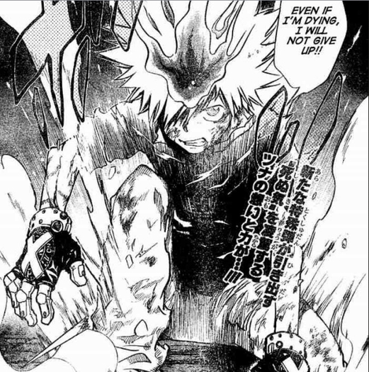 tsuna 8