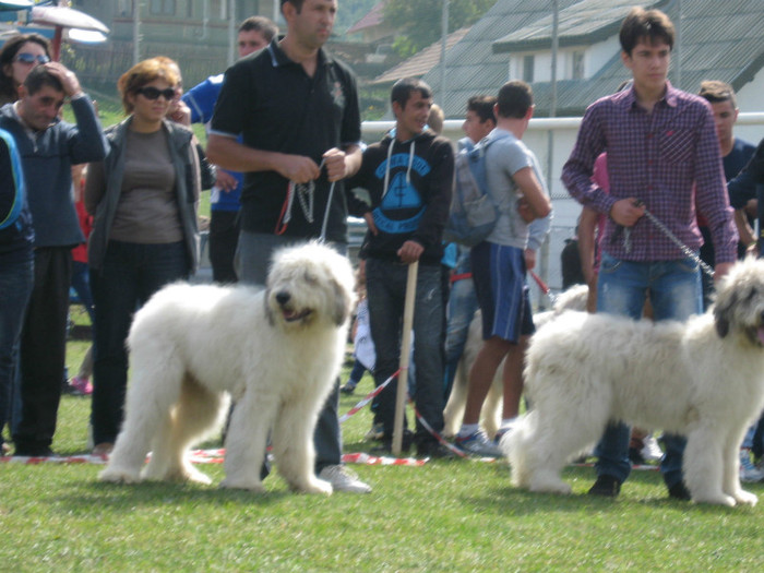 expopastoralis 2012