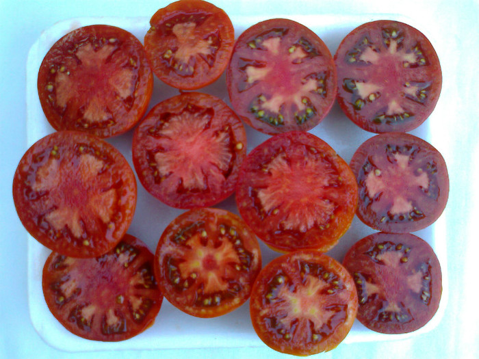 BLACK TRUFLE - 05- TOMATE-ROSII-SOIURI PURE ORGANICE VECHI ROMANESTI SI HEIRLOOM ALBUM 5