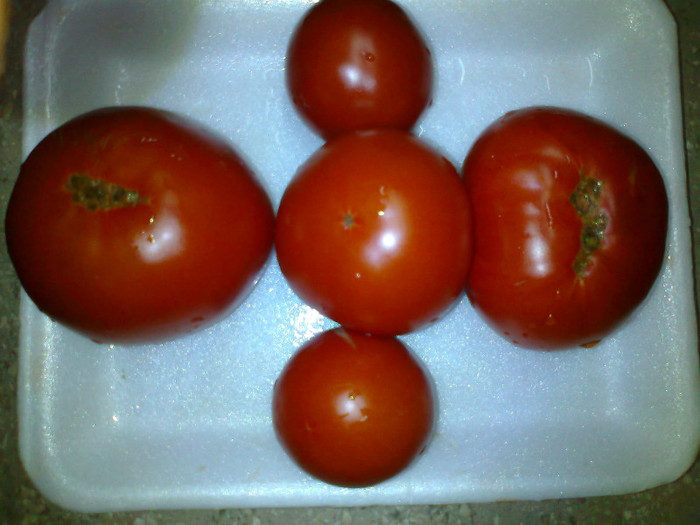 ALBA ACMARIU SVGB - 05- TOMATE-ROSII-SOIURI PURE ORGANICE VECHI ROMANESTI SI HEIRLOOM ALBUM 5