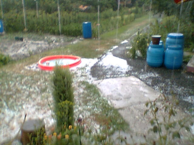 05 193 - puterea naturii