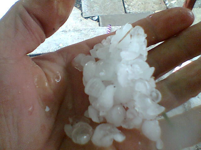 05 194 - puterea naturii