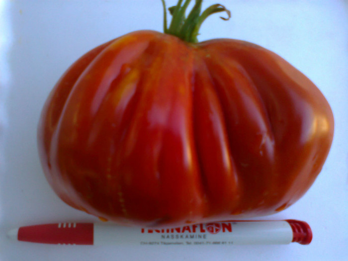 RED TRUFLE - 05- TOMATE-ROSII-SOIURI PURE ORGANICE VECHI ROMANESTI SI HEIRLOOM ALBUM 5