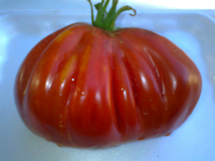 RED TRUFLE - 05- TOMATE-ROSII-SOIURI PURE ORGANICE VECHI ROMANESTI SI HEIRLOOM ALBUM 5