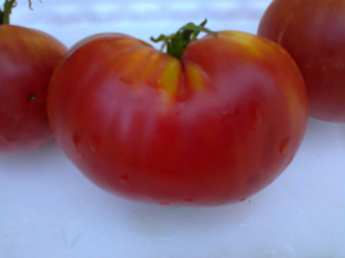 SUCEAVA ROSE SVGB - 05- TOMATE-ROSII-SOIURI PURE ORGANICE VECHI ROMANESTI SI HEIRLOOM ALBUM 5