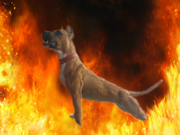 pizap.com13485589785091