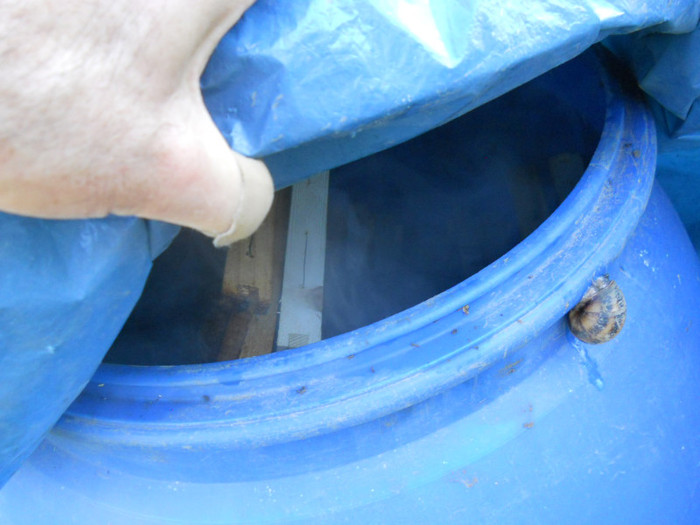 sulf la rame de rezerva - Apicol 2011-2012