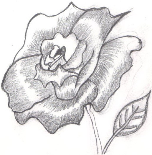 trandafir - Desenele mele - KARYY