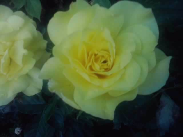 P210912_15.40_[03]