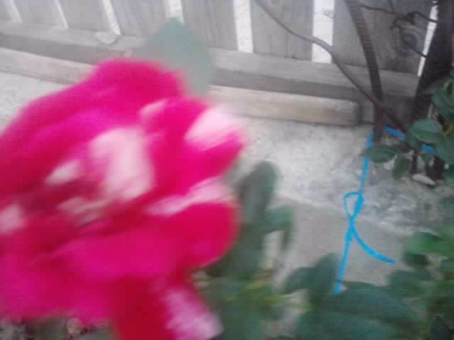 P210912_15.42_[01]