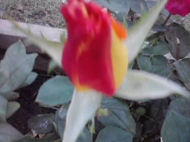 P220912_21.32_[01]