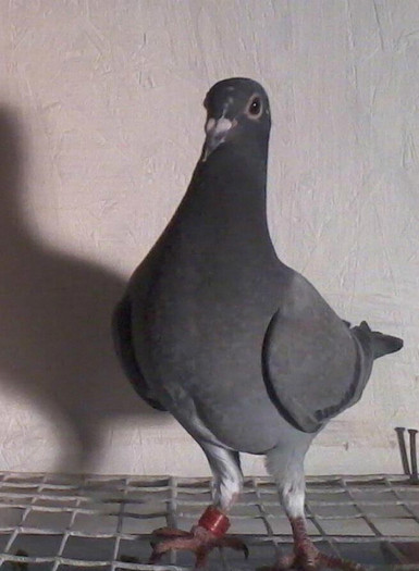 548467_3421327666992_1776940619_n[1]