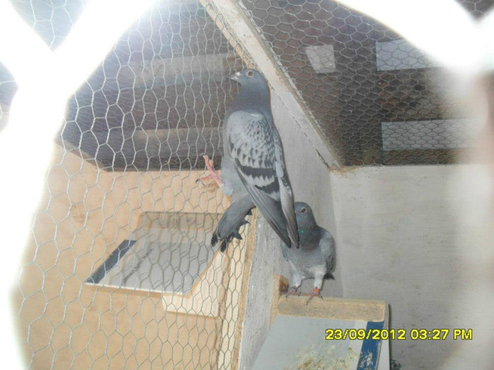 297856_3446228969509_423389324_n[1]