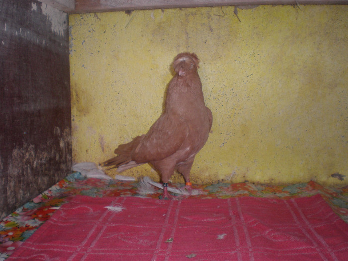 P2190073