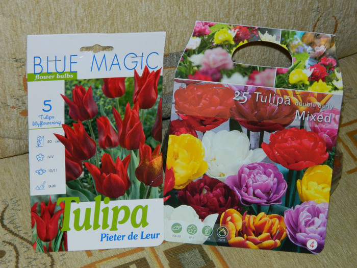 lalele - ACHIZITII_2012