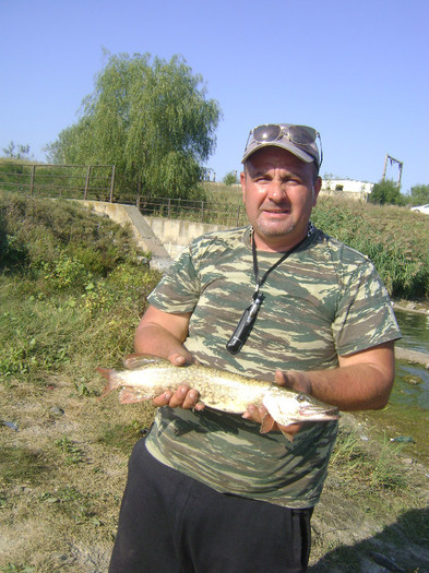 stiuca 51 cm si 1kg gurbanesti (sect 2012) - la pescuit 2012