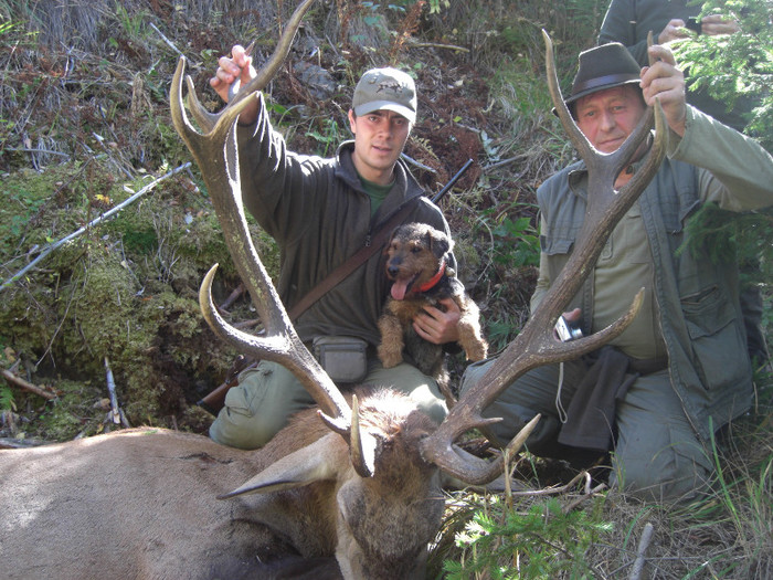 Radar, Balani utankereses - Radar