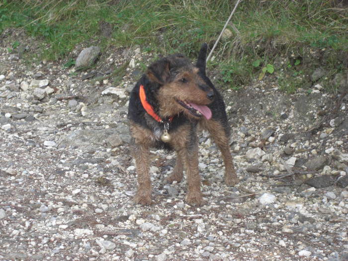 Radar, utankereses - Radar