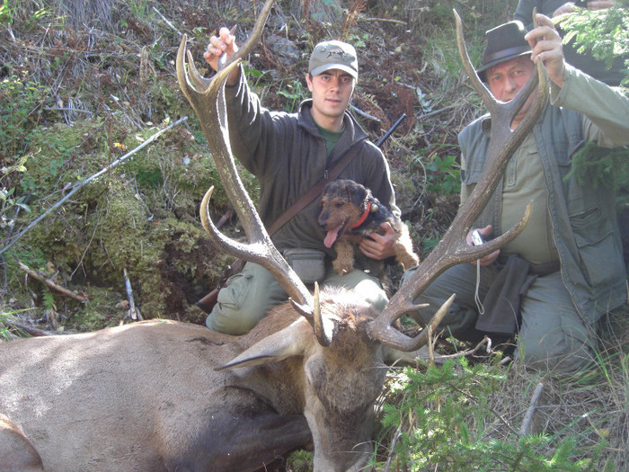 Radar, Balani utankereses - Radar