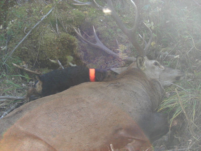 Radar, utankereses - Radar