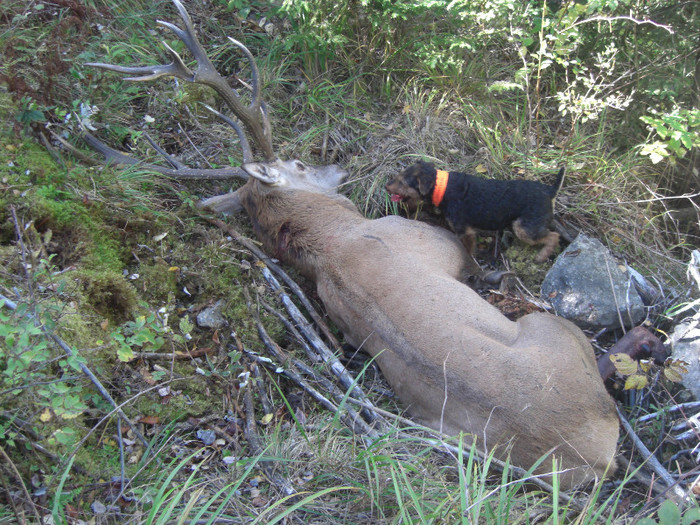 Radar, utankereses - Radar