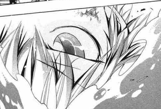 tsuna 26