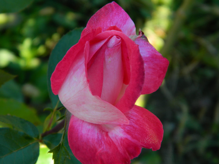 025 - 9_SEPTEMBRIE