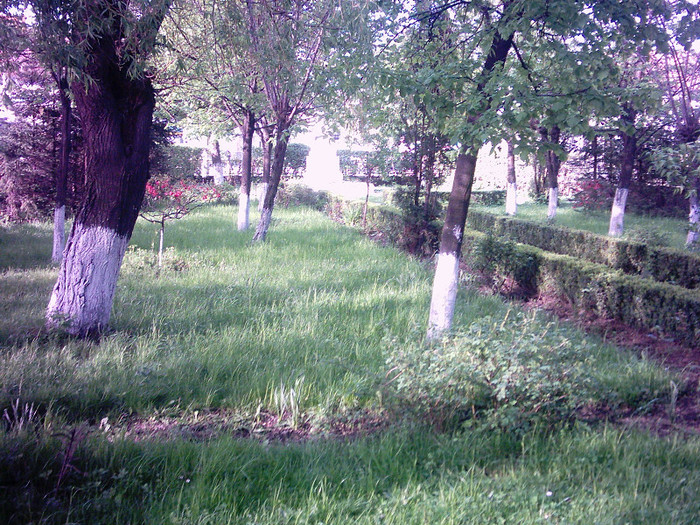 PHOT0014