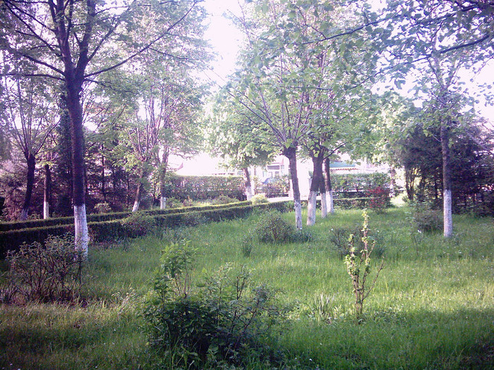 PHOT0015