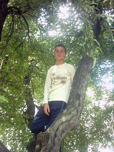 PHOT0104 - cei mai frumosi elevi