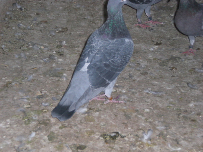 CIMG9035