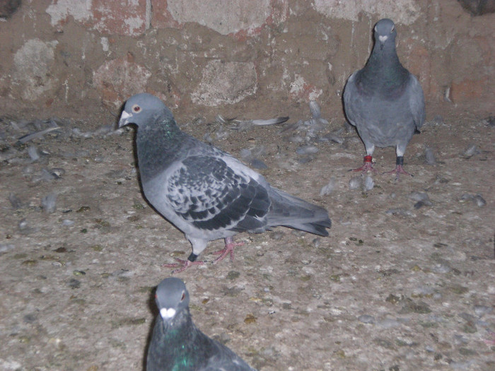 CIMG9039