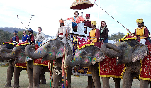 Elephant-Polo-Line-Up-India1 - india si culorile ei minunate
