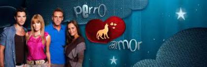 imagesCA3FHQC6 - Perro Amor-Jocul seductiei