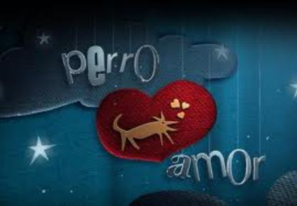imagesCAKK5COP - Perro Amor-Jocul seductiei