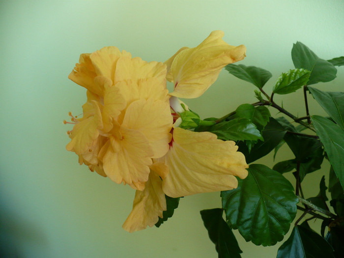 P1400769