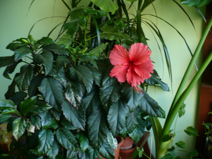 P1400756