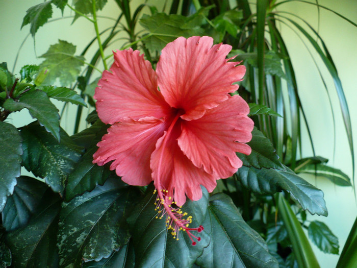 P1400757