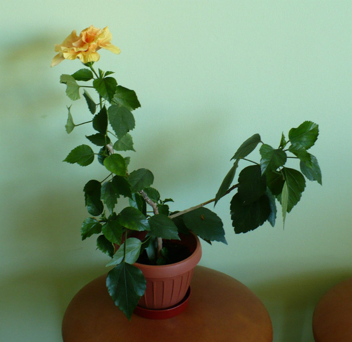 P1400777