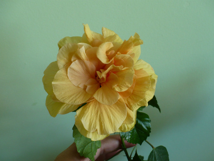 P1400780