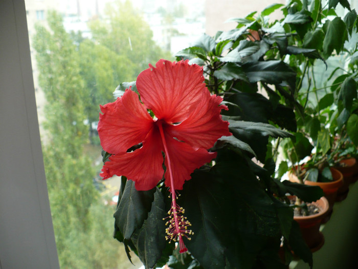 P1400828