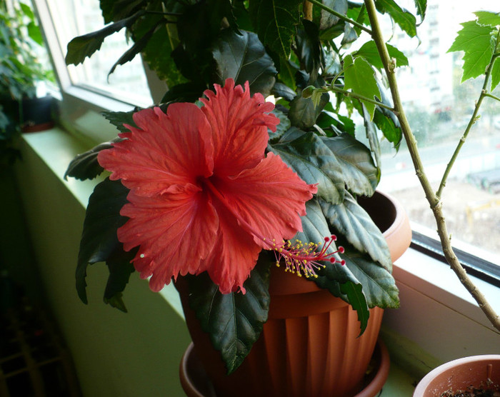 P1400928