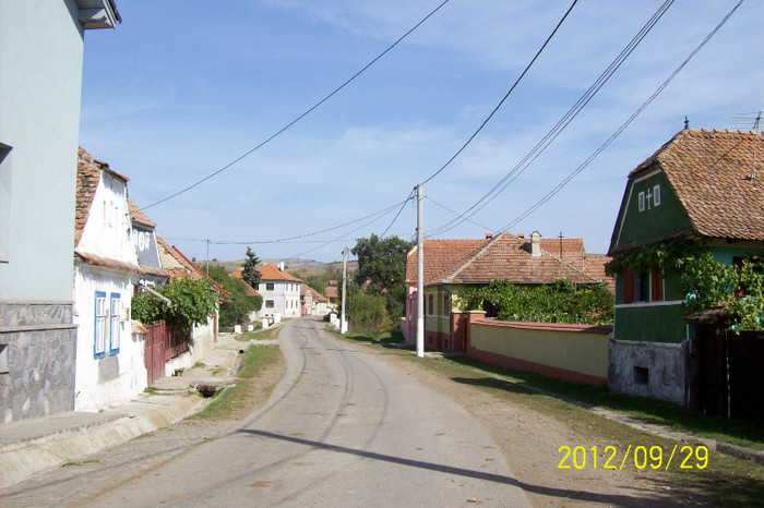 100_9751